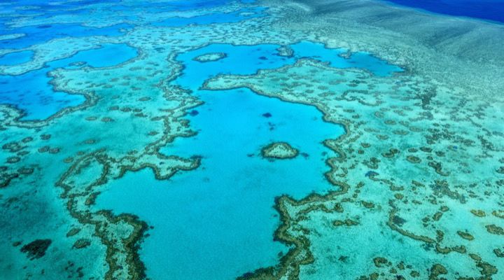 RangerBot Great Barrier Reef