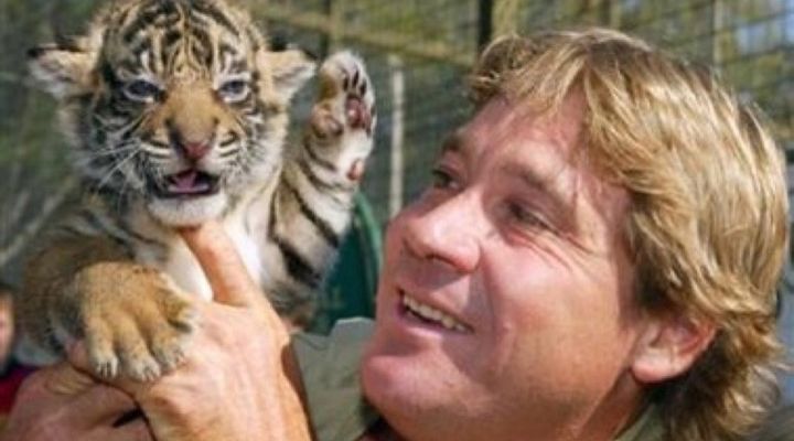 Steve Irwin Grappling Story