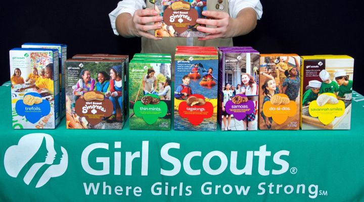 Girl Scout Cookies Story